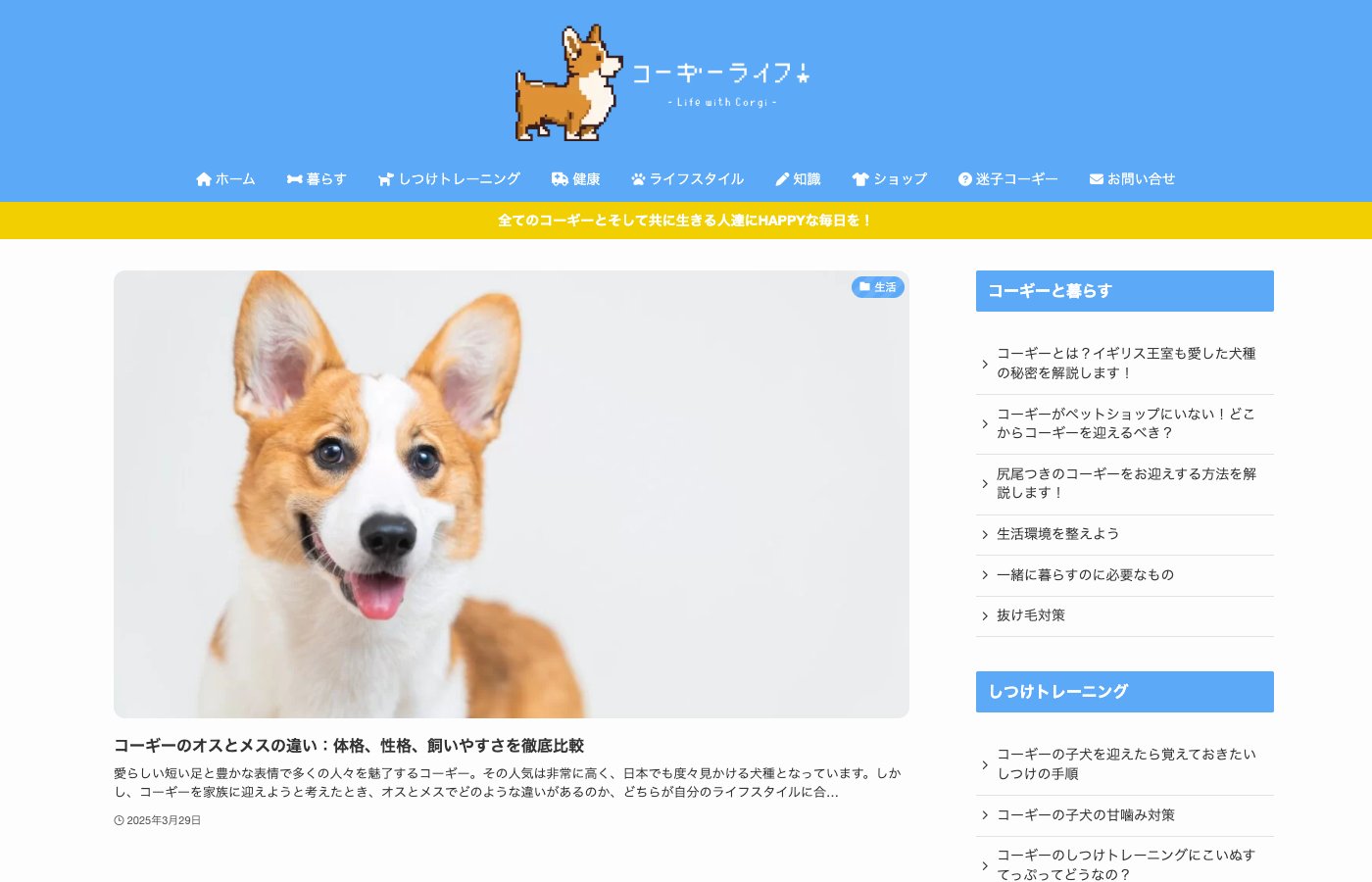 コーギーライフ